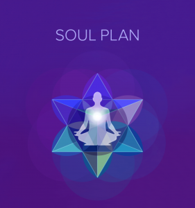 Bella Luna: Soul Plan Practitioner